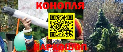 амф Краснознаменск